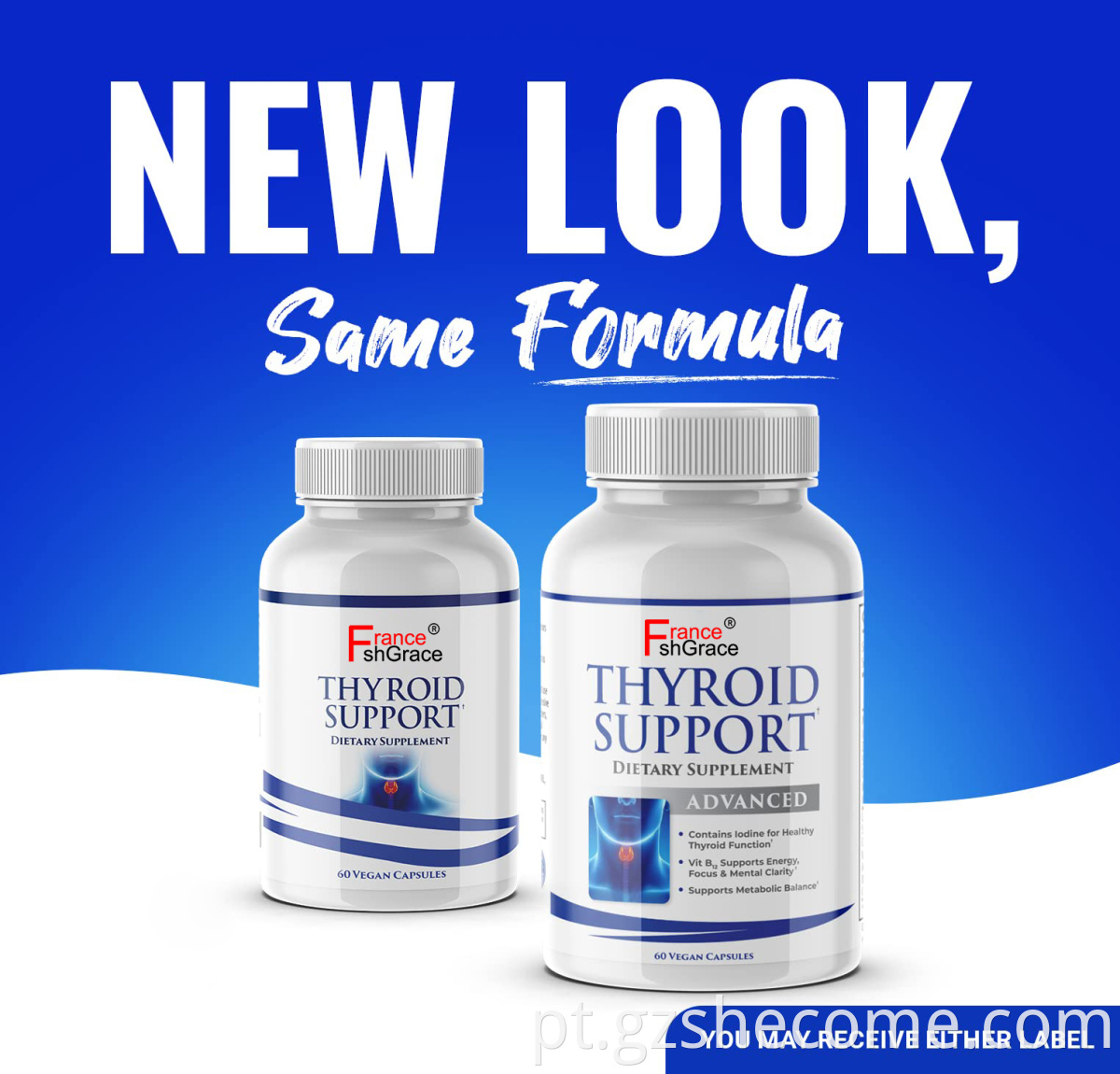 Thyroid Support Supplements
